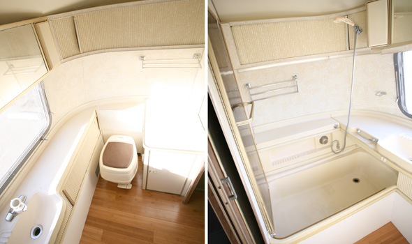 Bathroom lavatory and shower/ tub areas