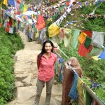 HofArc, Hofmann Architecture, Design, Renovation, Melissa, Hayakawa, Design, Travel, Explore, Baby Boomer